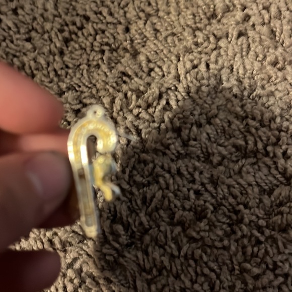 Earrings for anyone - Picture 3 of 17